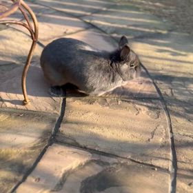 なんて素敵な日だー！の画像