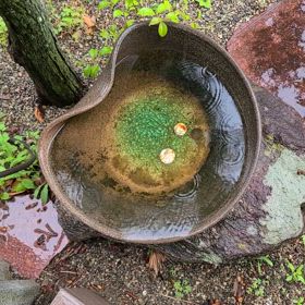 こんにちは。(5月6日)祝日(振替休日)の画像