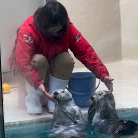 会いたかった♡の画像