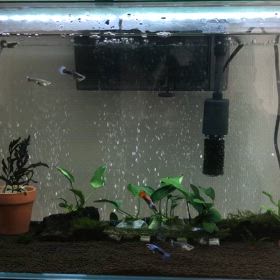 水槽の水換えの画像