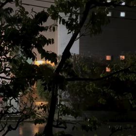 大寒の夕立の画像