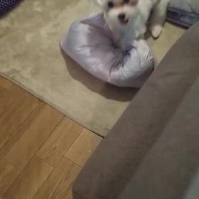 2024年7月24日水曜日の画像