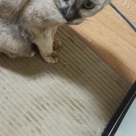 2025/01/21きみの画像