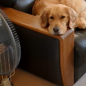 新たな場所を探して。の画像