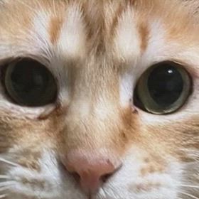 日曜日はゆっくりの画像