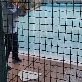 お正月☆第2弾【ハッスル動画】バッティングセンターの画像