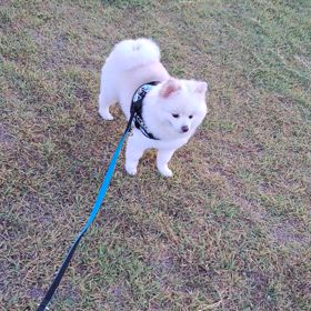 できるようになったね♪の画像