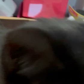 おはようございますの画像