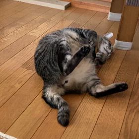 お暇な方への画像