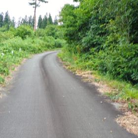 増田修行研究地の様子の画像