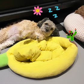 ジョンソク君Instagramストーリーの画像