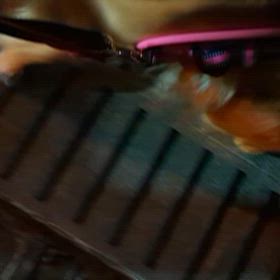 新たなトレーニング。の画像