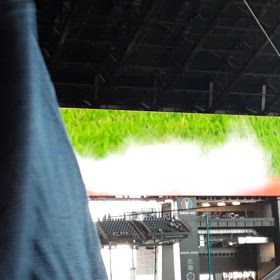 今年の日ハムは違うぞの画像