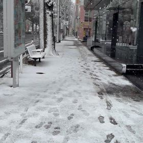 はじめての雪の画像