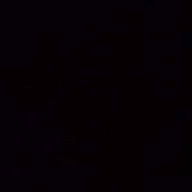 怒涛の一週間の画像