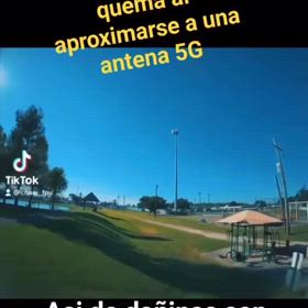 5G  protegerse5G/34859の画像