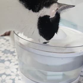 今回はギューしてからでてきたの画像