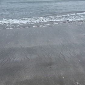 1分20秒の自然環境音の画像