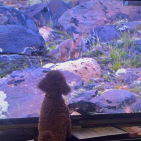 今日の出来事‼️の画像