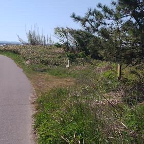 お休み！の画像