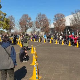 県駅伝(第２区)⑪の画像