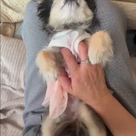 マッサージの画像