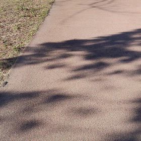 わんコの散歩についての画像