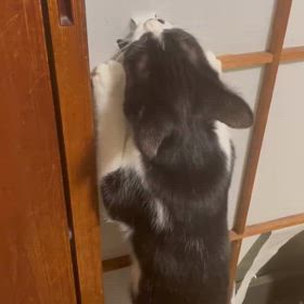 先生に笑われたの画像