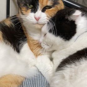 いつも前向きにの画像