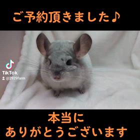 ご予約頂きました♪の画像