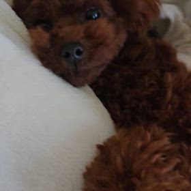 不思議！の画像