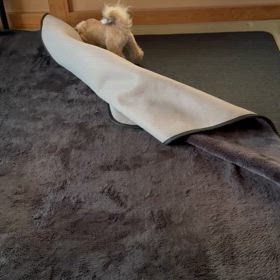 本日の秋吉の画像