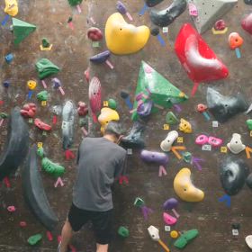 マホロバの画像