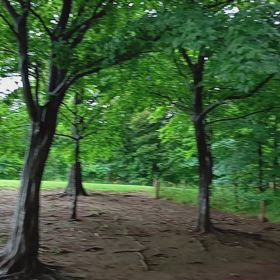 ショートカット公園の画像