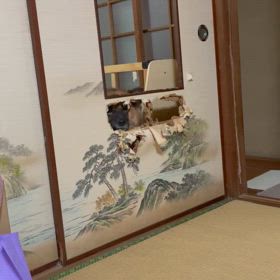 おやつの時間の画像