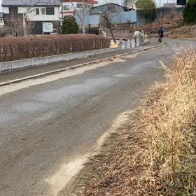 駅伝コース前半（公園前）①の画像