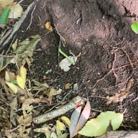 山ビルの類似物の画像