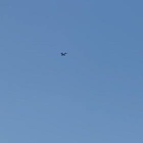 6月になりましたの画像