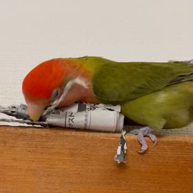 今年一年ありがとうございました。の画像