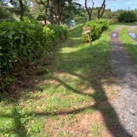 ひつじ放牧地３への行き方動画の画像