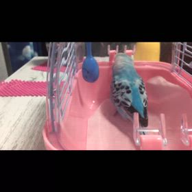 嬉しい言葉記念日(⸝⸝› з ‹⸝⸝)♡の画像