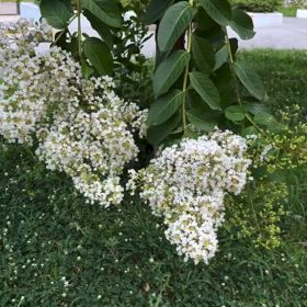 ただ揺れているだけでの画像