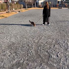 新年明けました！の画像