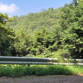 ”BBA供”の画像