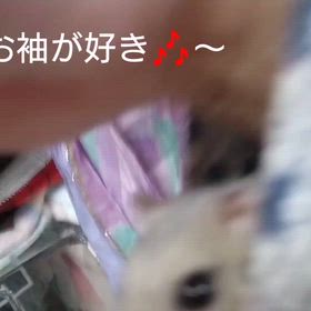 2025.10.24　だいこの日常の画像