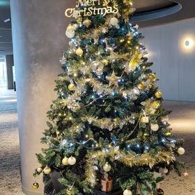 クリスマスツリー　グランドメルキュール八ヶ岳の画像