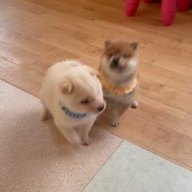 山口水本荘の夕方の画像