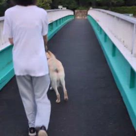 生活リズムの画像