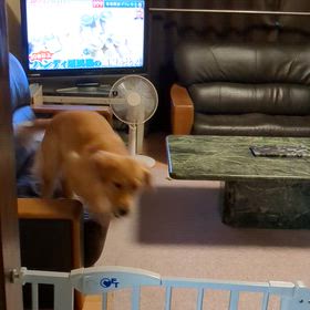 スィッチON⁉️の画像