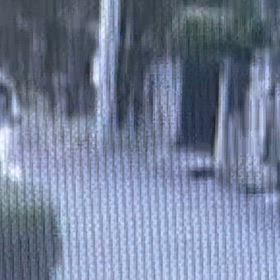 今朝は46分。クールダウン2周あり。の画像